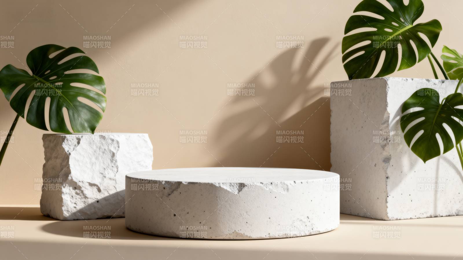 绿植与石台静谧景图片