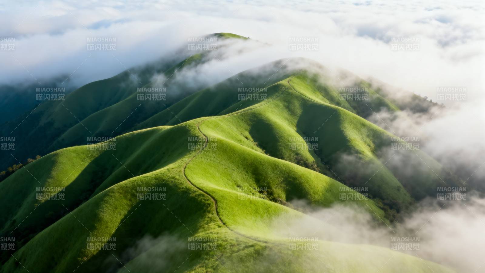 云海绿丘图片