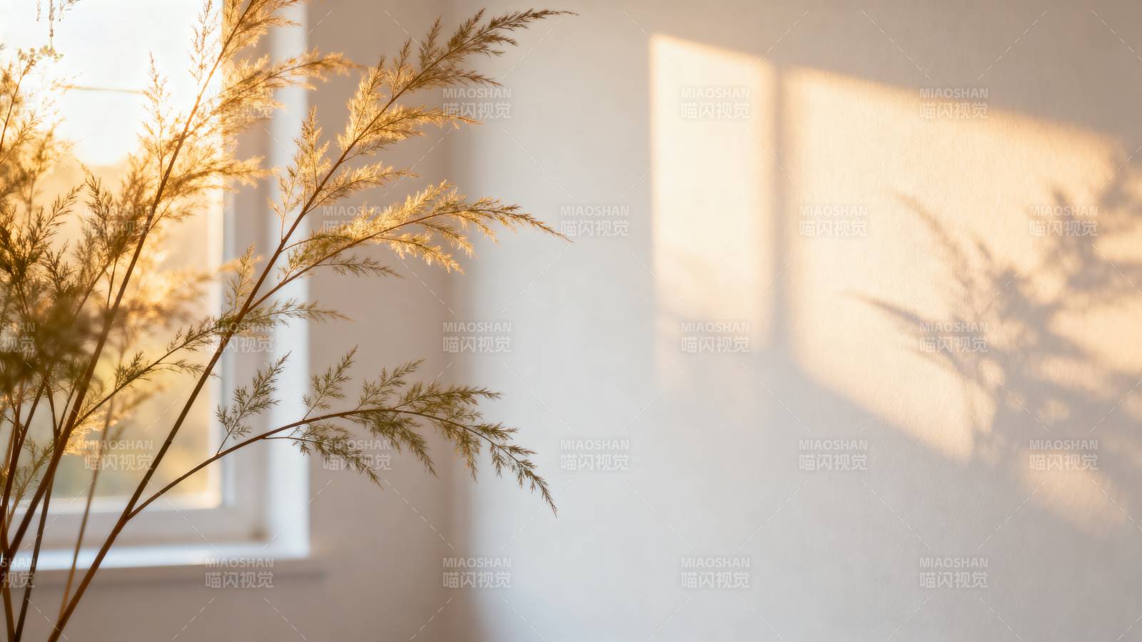 窗边光影草影图片