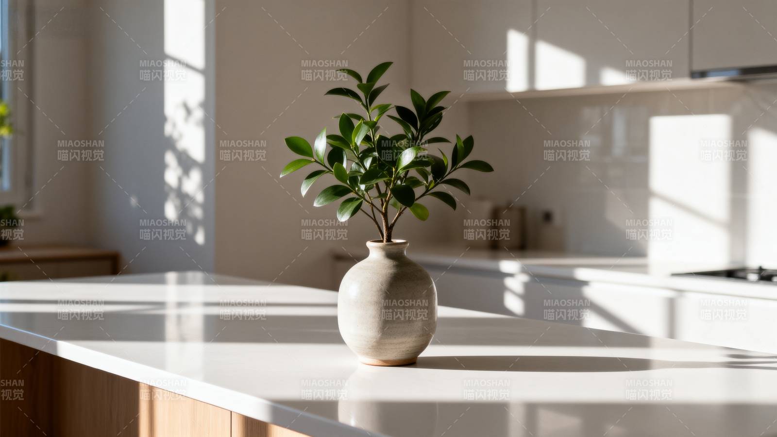 绿植点缀现代厨房图片