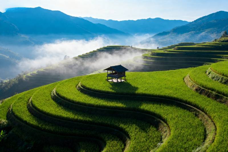 梯田晨雾绕山间图片