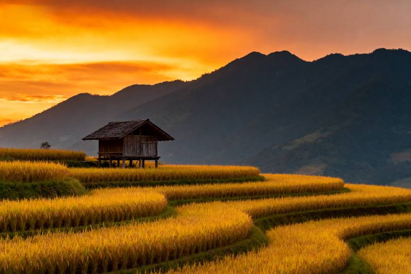 梯田夕照山居图图片