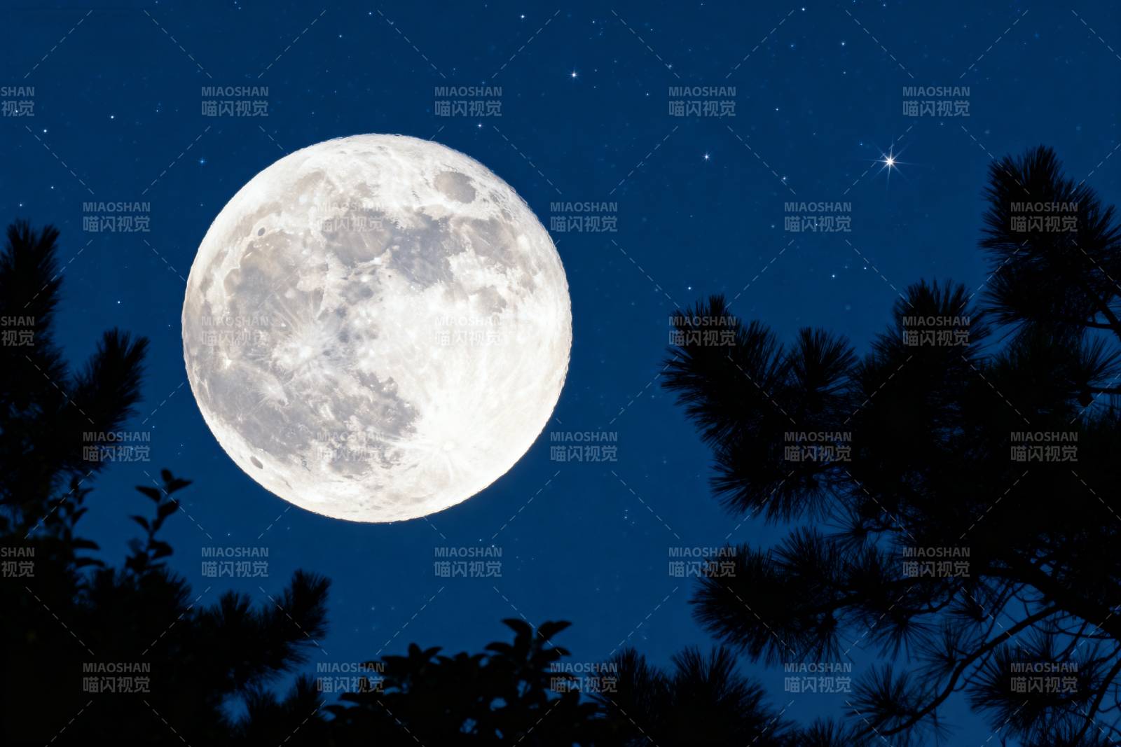 明月高悬夜空图片