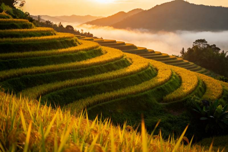 梯田晨曦图片