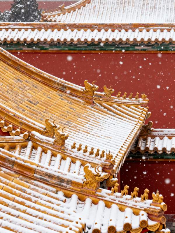 雪落故宫檐图片