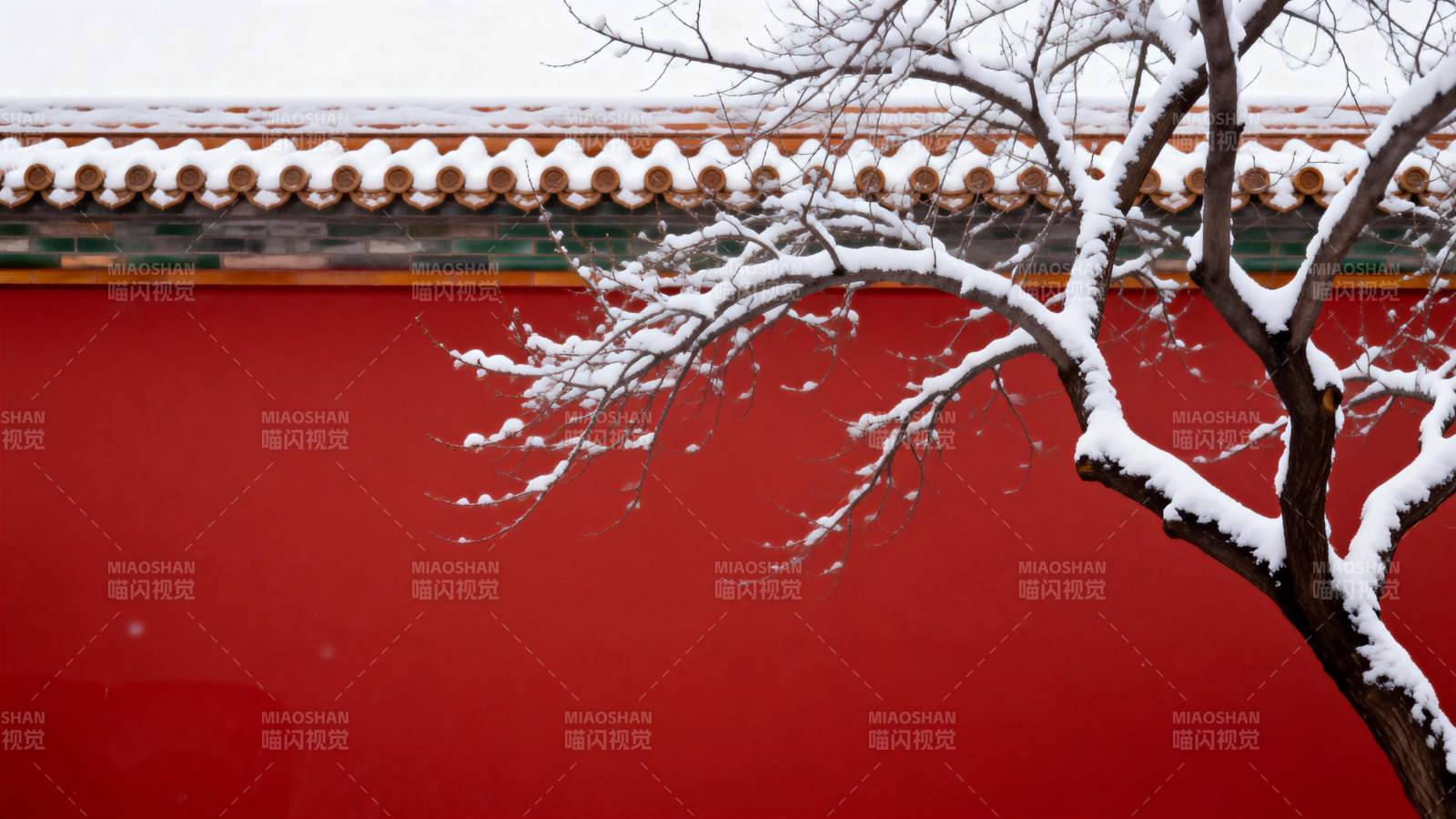 雪枝映红墙图片