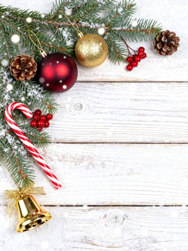 圣诞装饰静物图图片