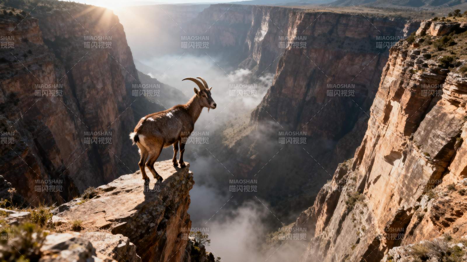山羊立崖望深渊图片