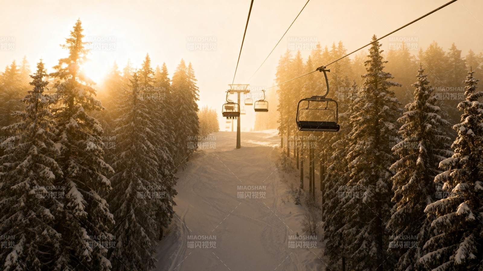 雪林缆车晨光图片