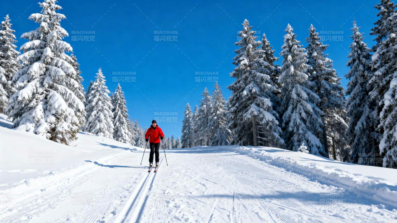 雪地滑雪 林间美景图片