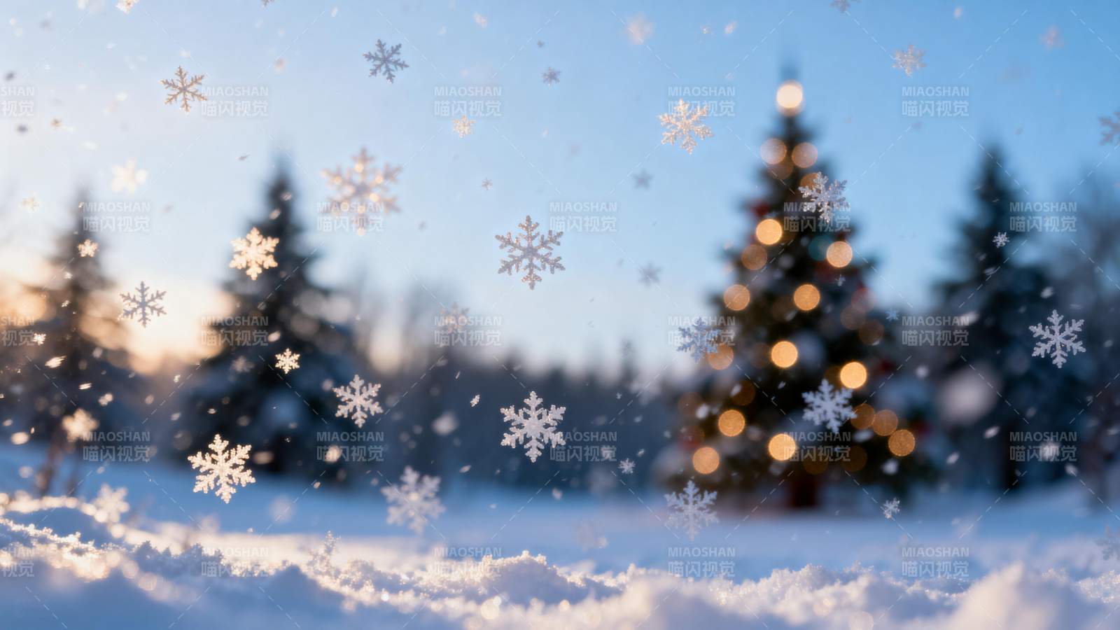 雪中圣诞树图片