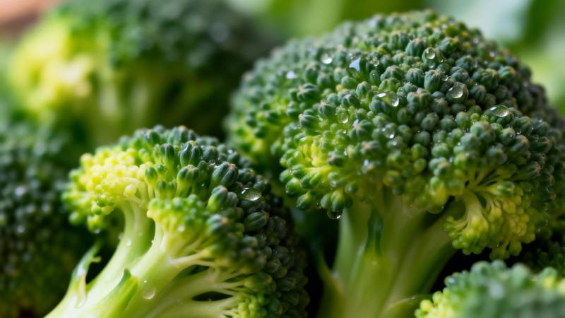 新鲜西兰花特写图片