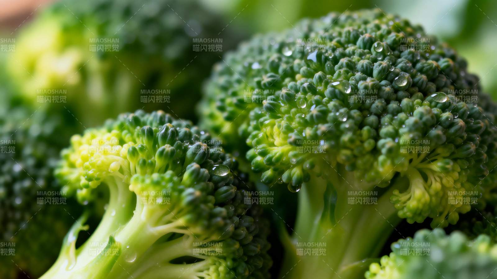 新鲜西兰花特写图片