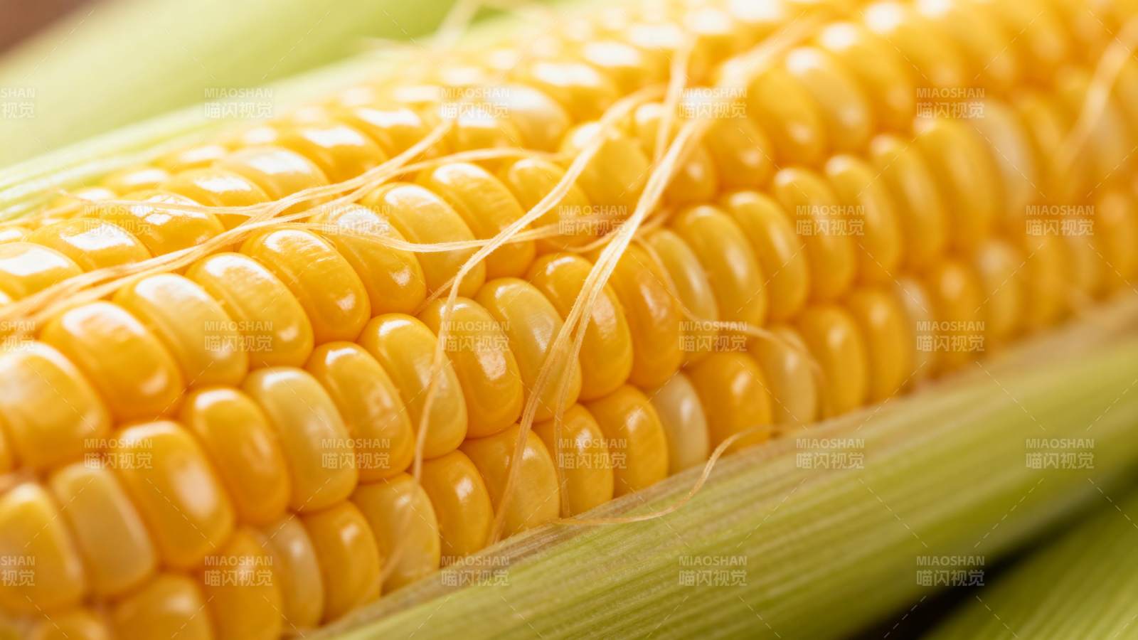 金黄玉米特写图片