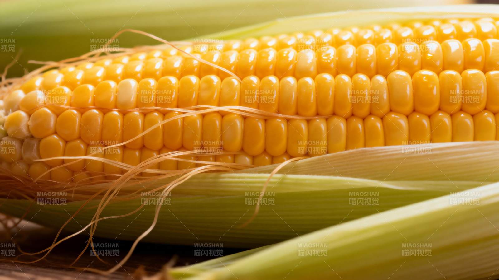 金黄玉米特写图片