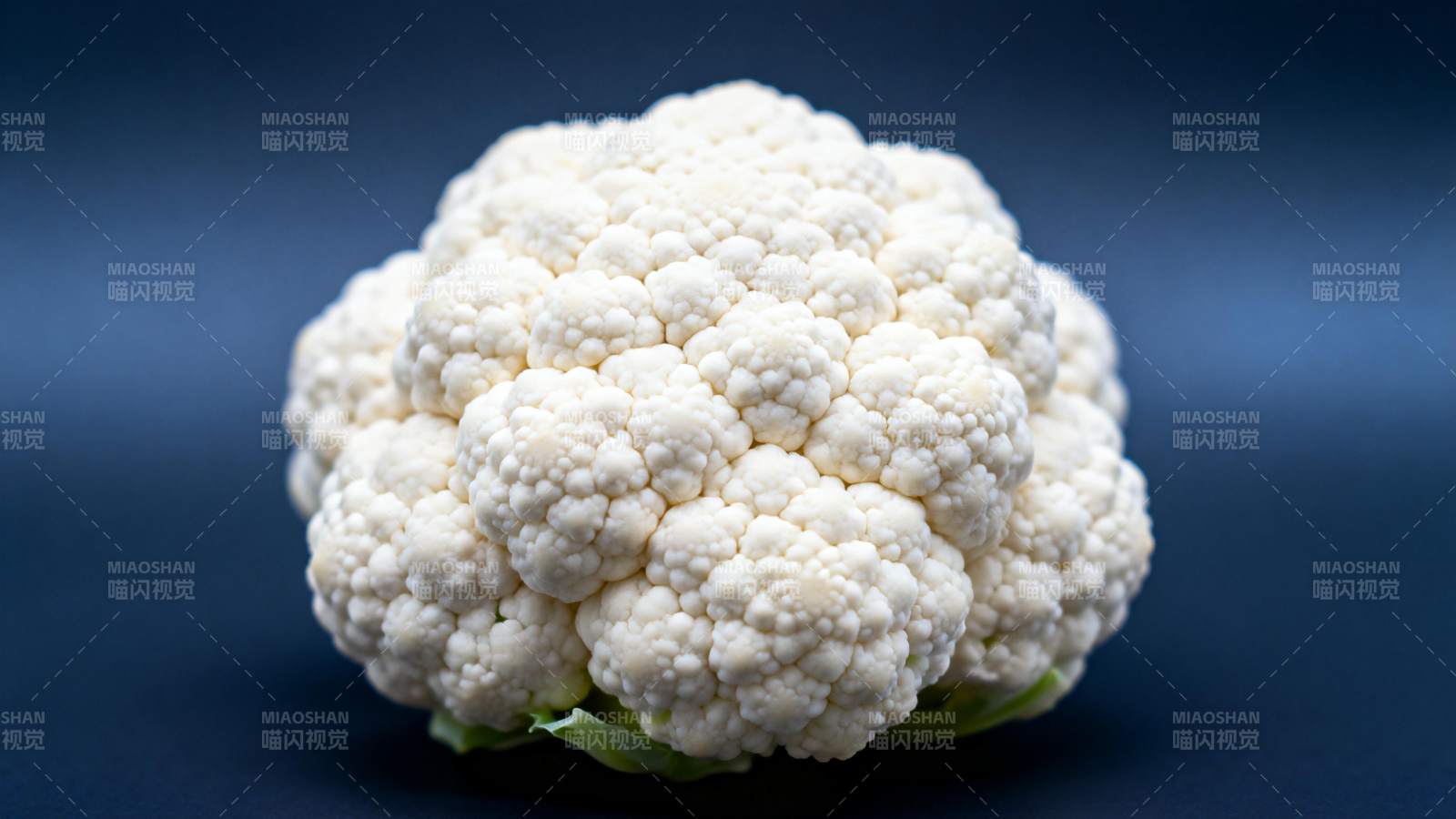 洁白花椰菜特写图片