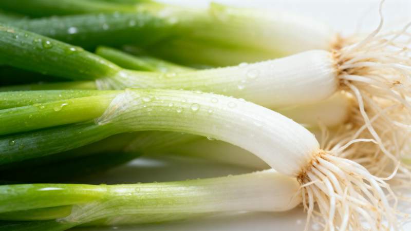 新鲜青葱特写图片