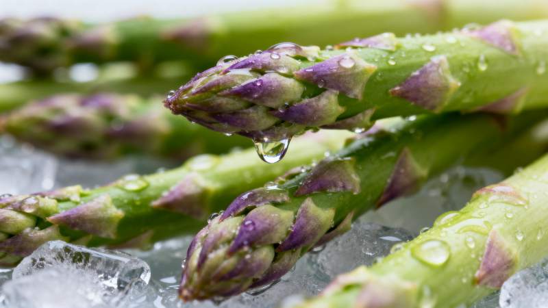 冰上鲜嫩芦笋图片