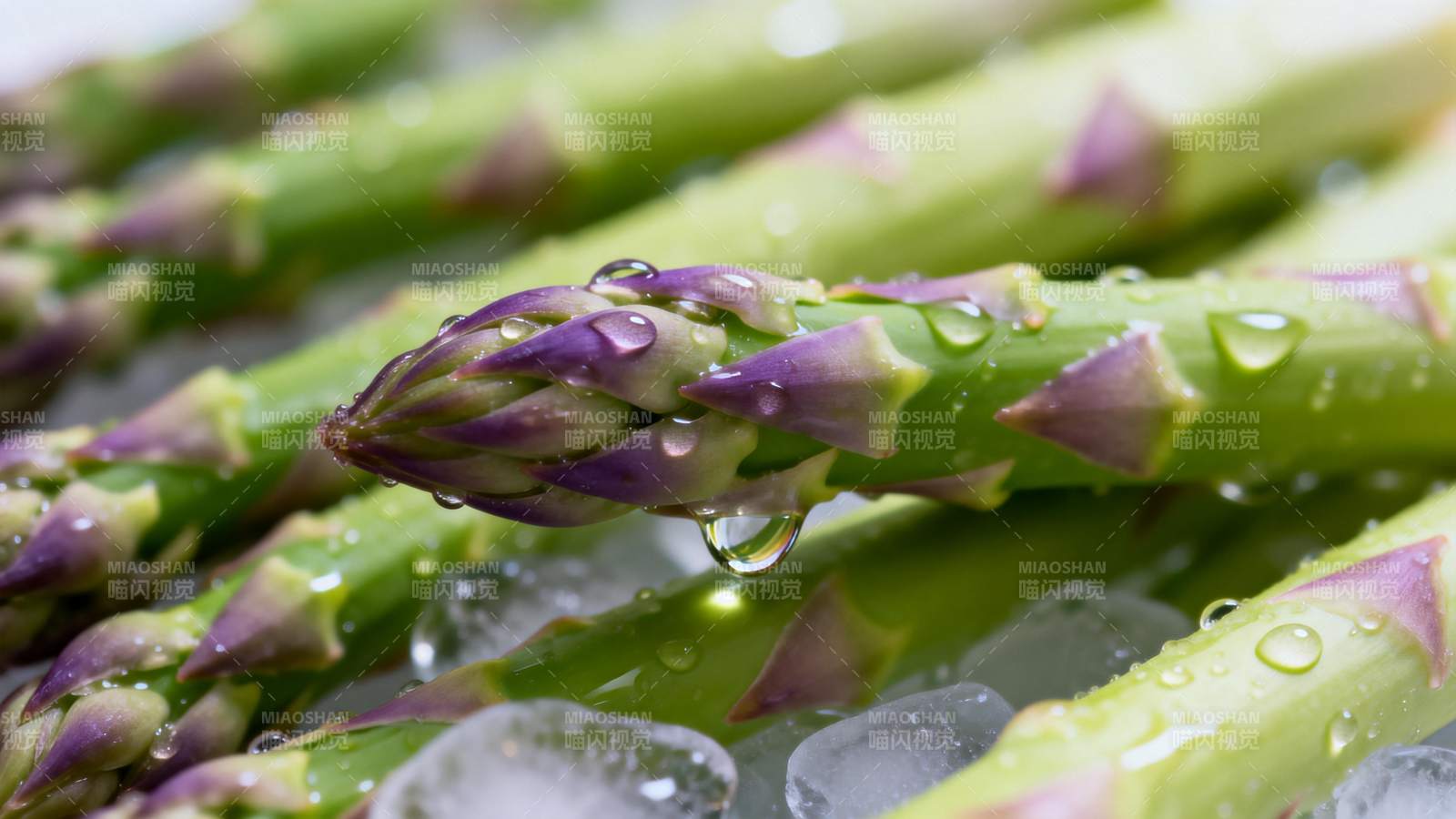 新鲜芦笋冰上水珠图片