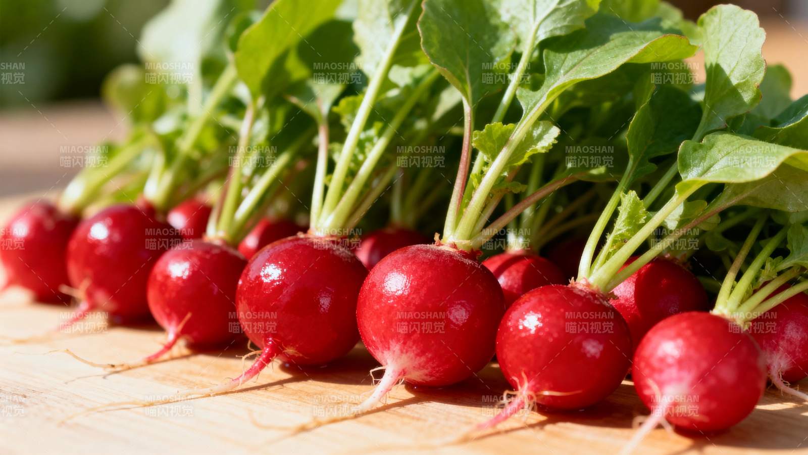 新鲜红萝卜图片