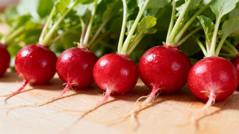 新鲜红萝卜排列图片