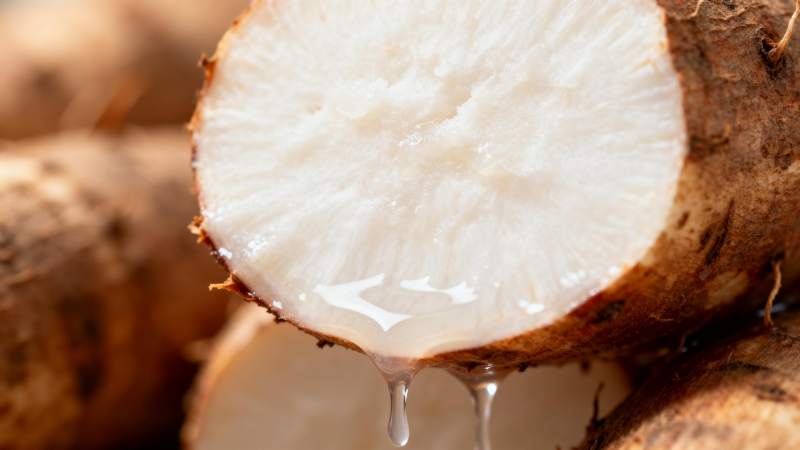 新鲜木薯切面特写图片