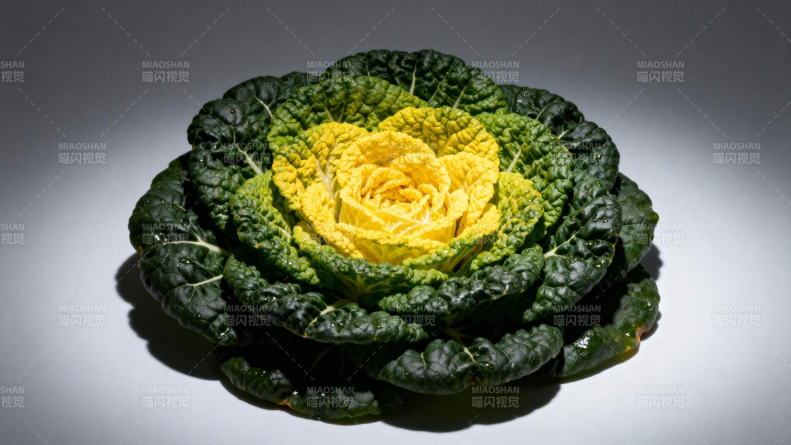 黄心绿叶甘蓝花图片