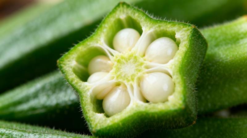 秋葵切面特写图片