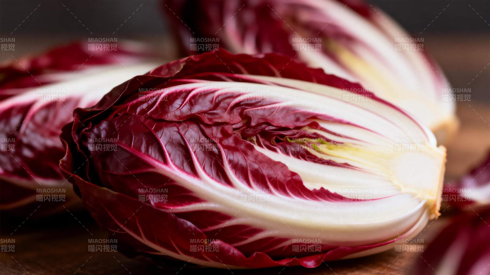 紫叶生菜特写图片