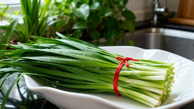 新鲜韭菜静置盘中图片