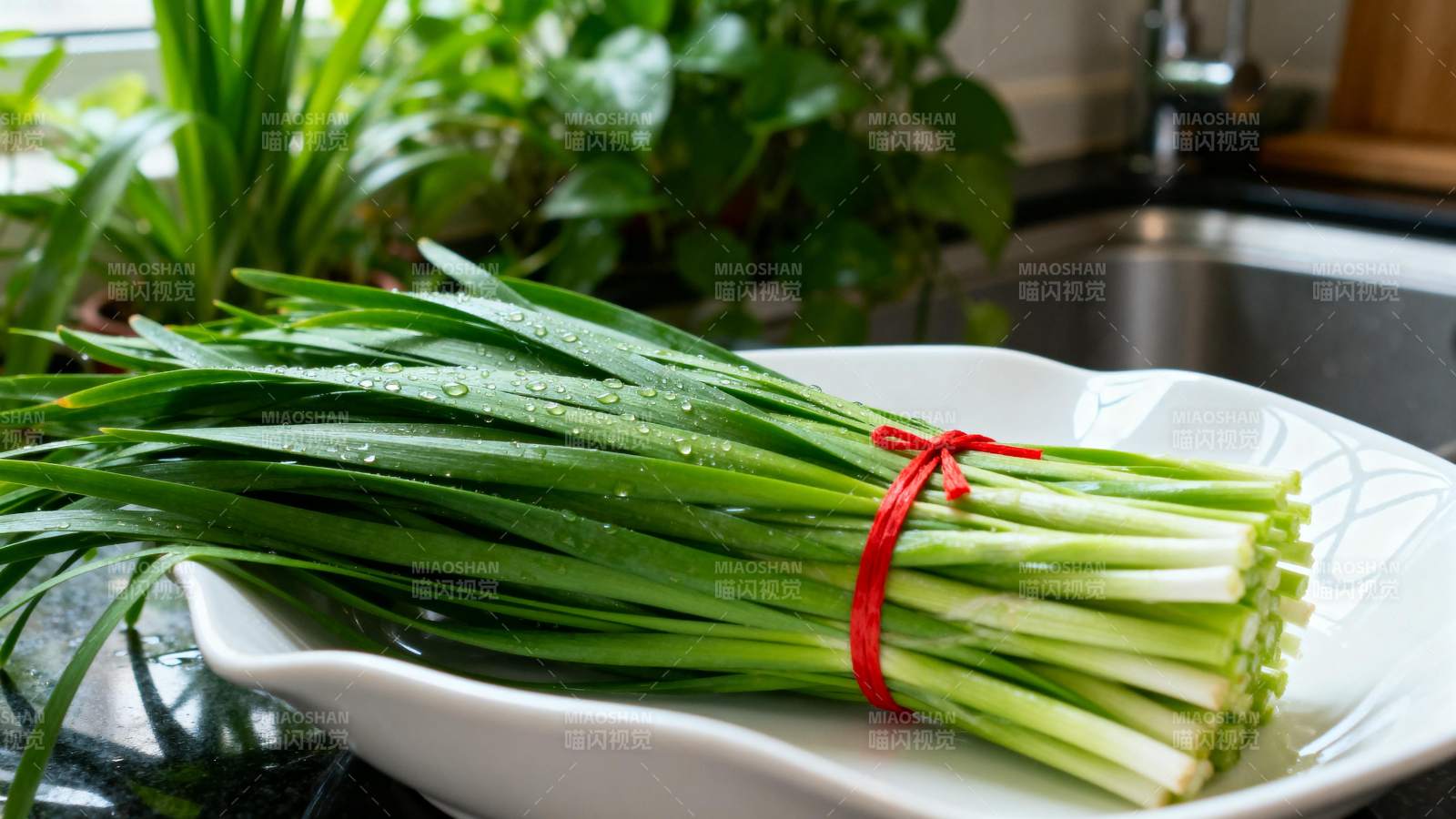 新鲜韭菜静置盘中图片