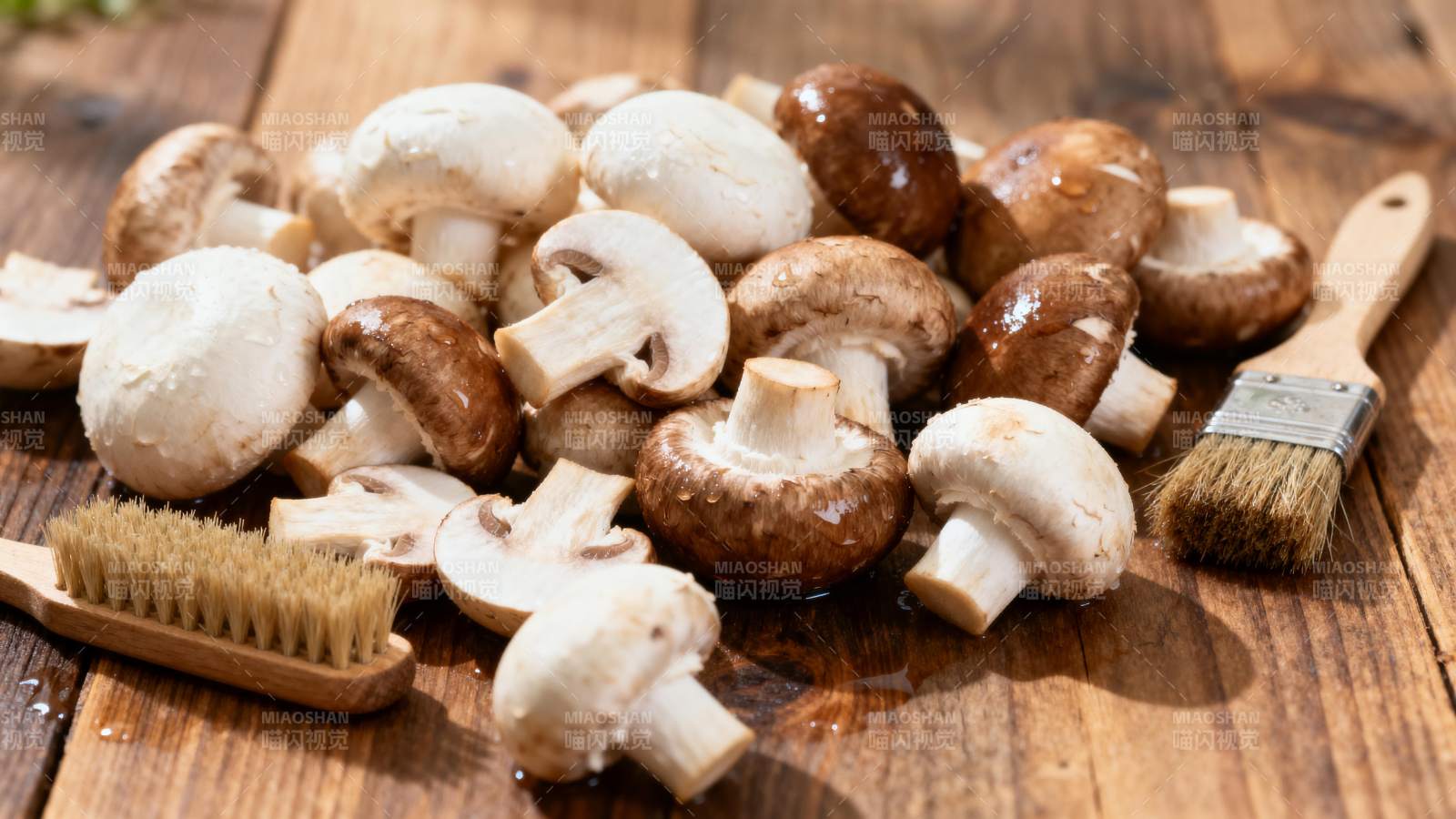 新鲜蘑菇与刷子图片
