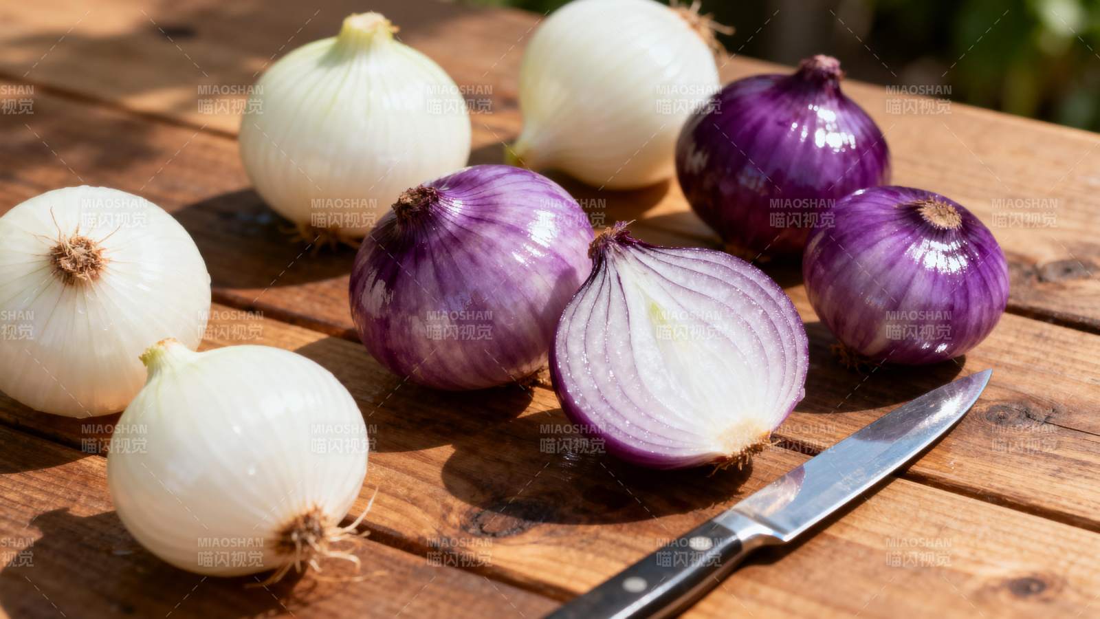 洋葱与刀具静物图图片