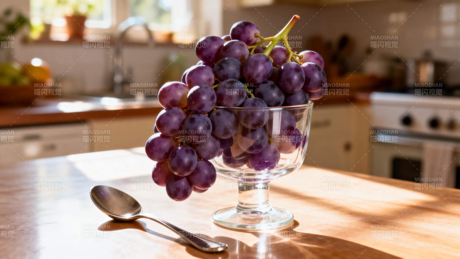 紫葡萄静物图图片