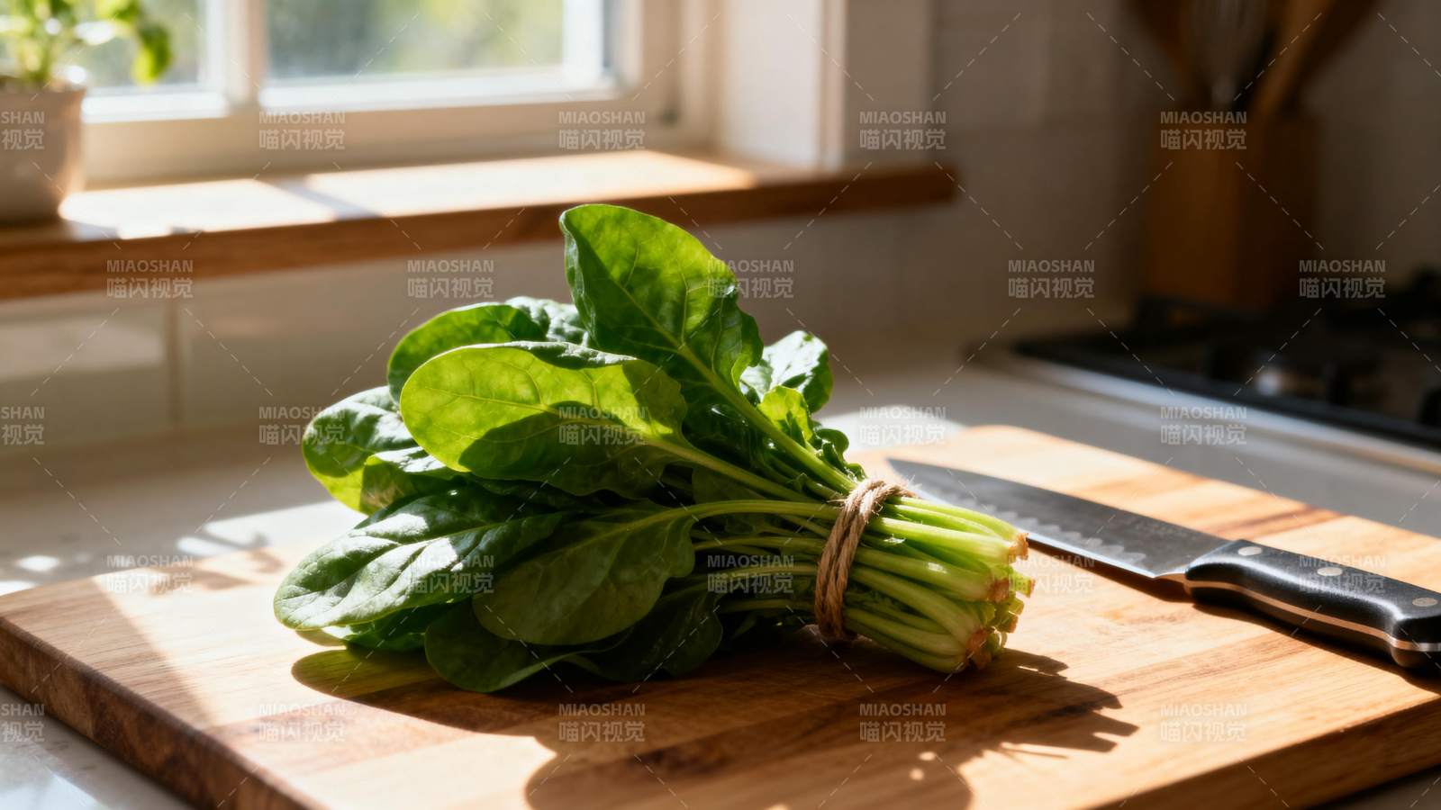 新鲜菠菜待切图片