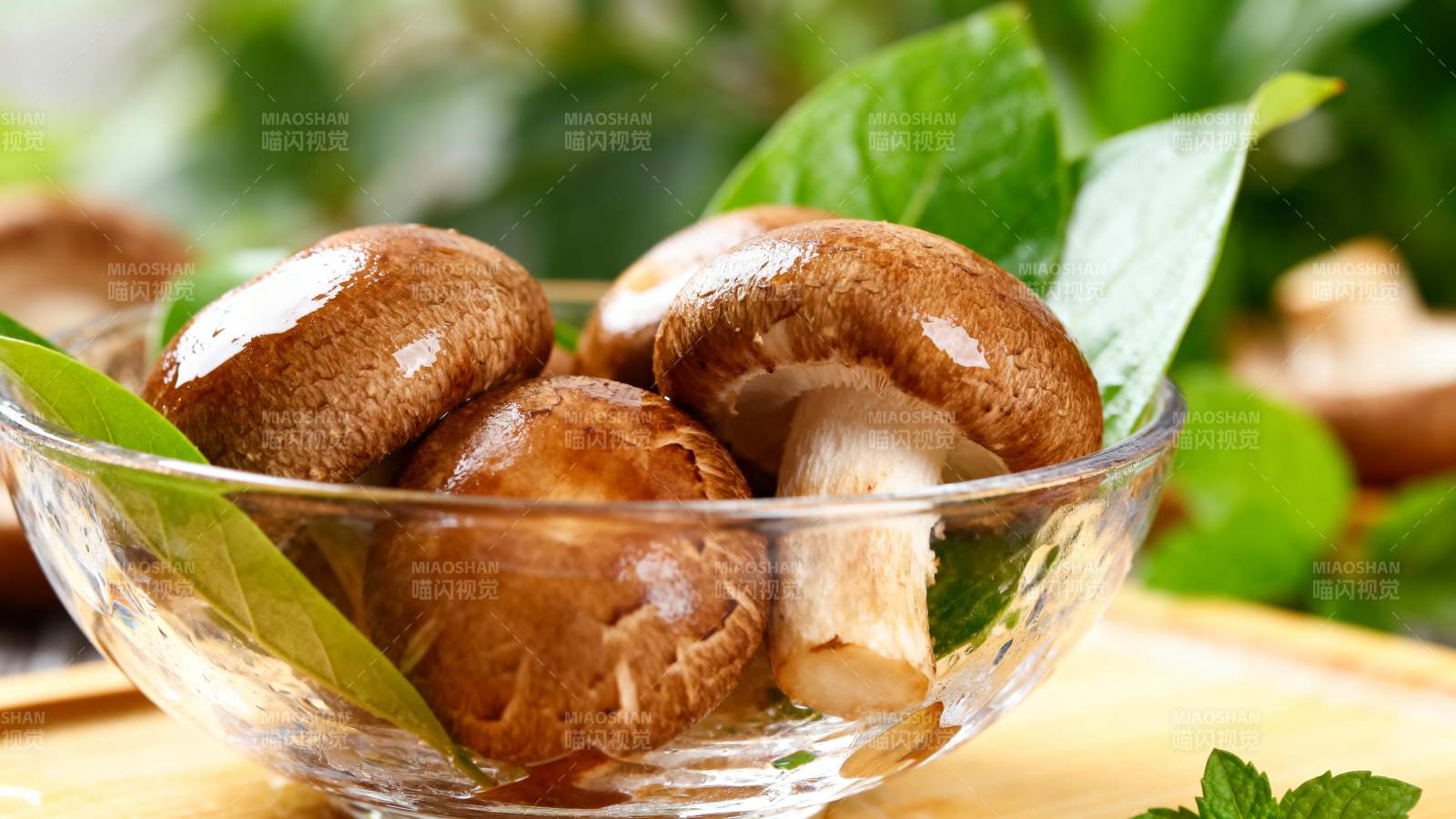 鲜美香菇特写图片