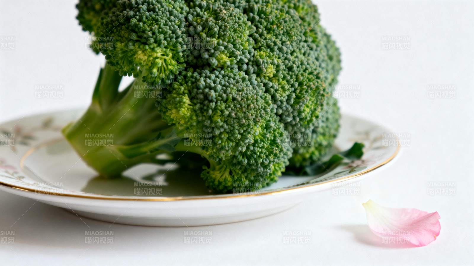 西兰花静物图图片