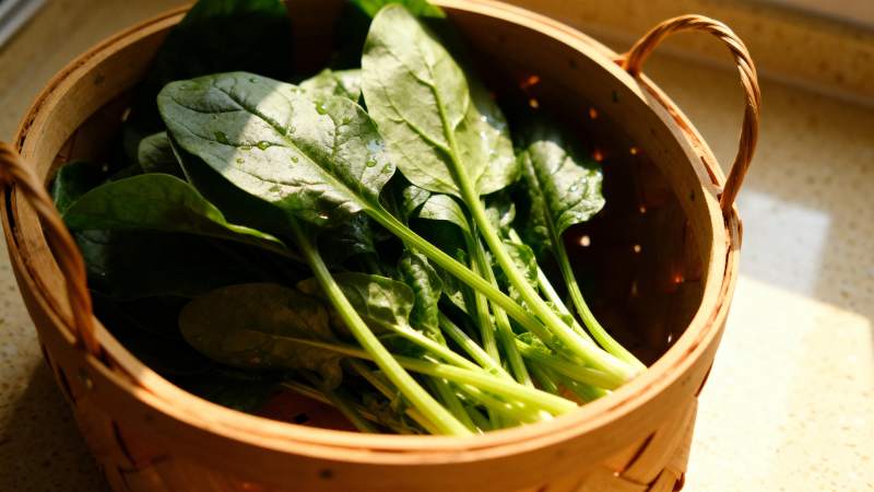 新鲜菠菜篮中盛图片