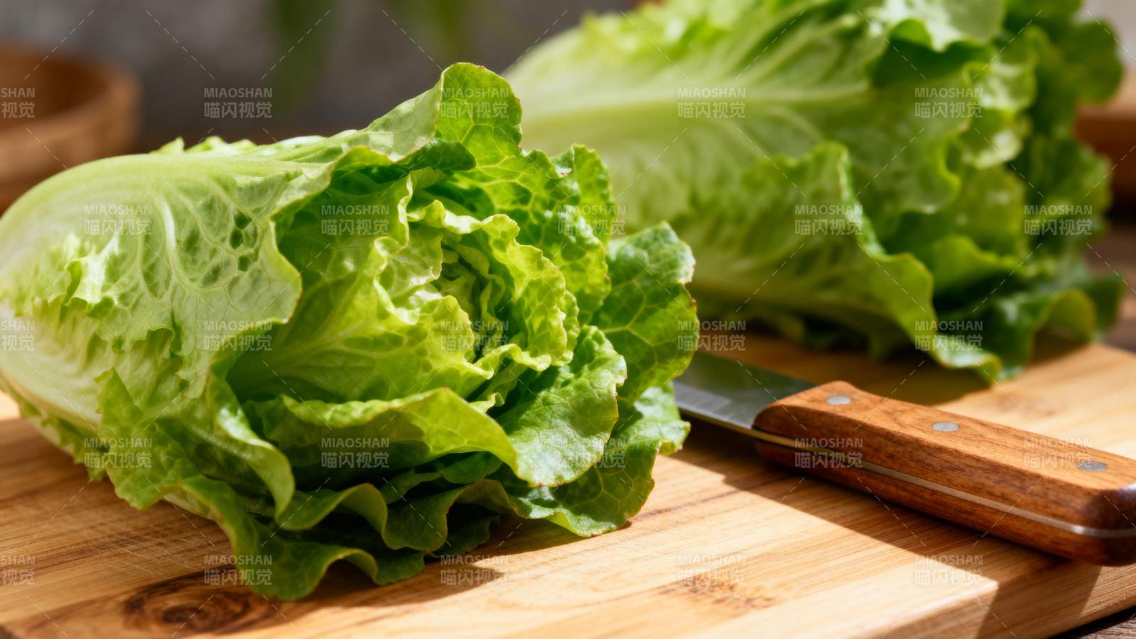 新鲜生菜切菜准备图片