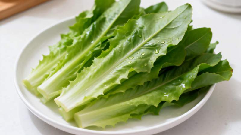 新鲜生菜叶图片