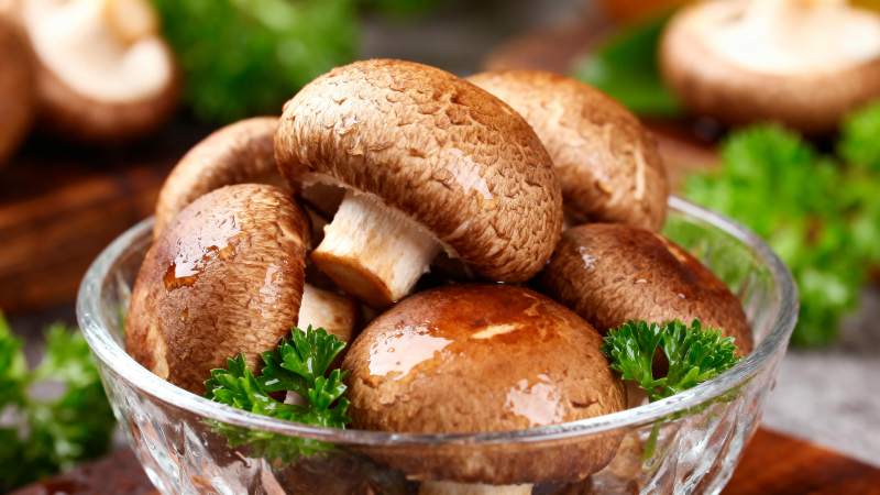 鲜嫩香菇盛碗中图片