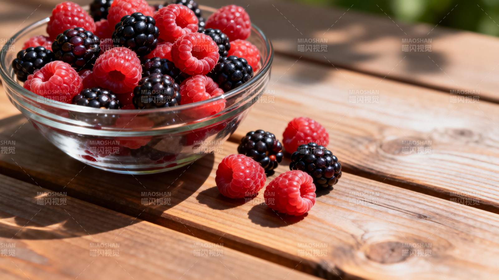 浆果盛宴图片