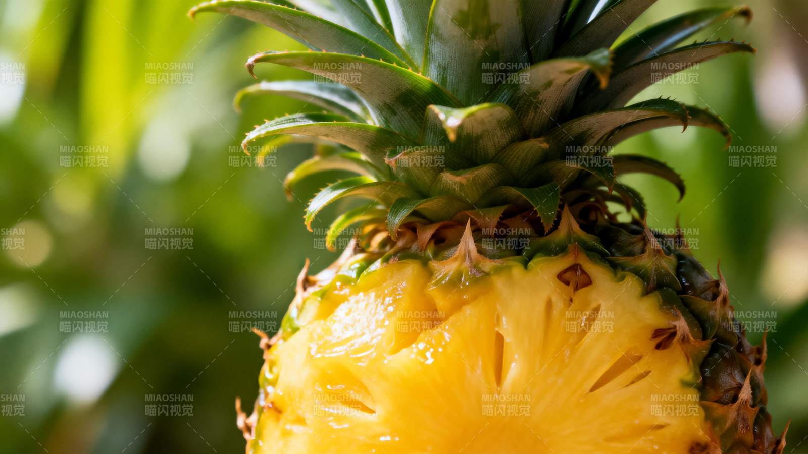 菠萝切开特写图片