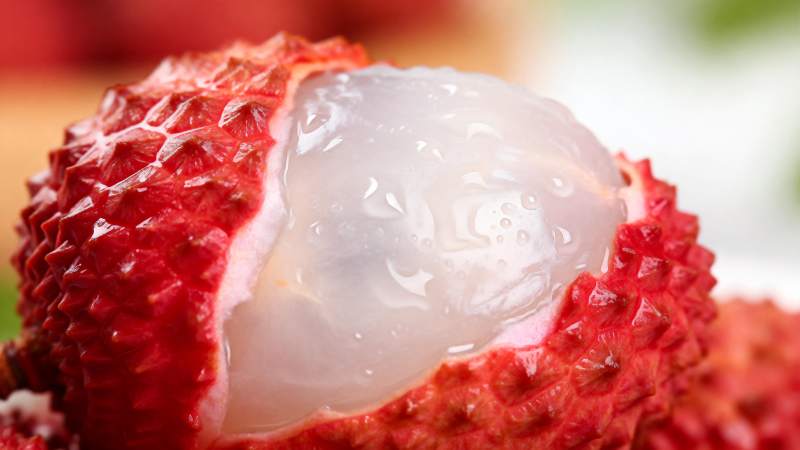 鲜嫩荔枝特写图片