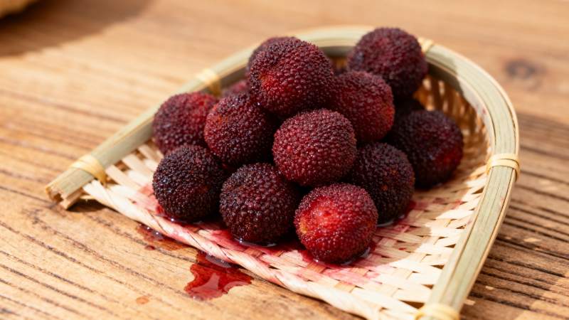 杨梅鲜红诱人图片