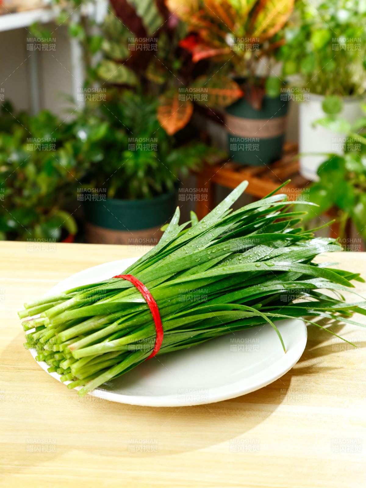 新鲜韭菜静置盘中图片