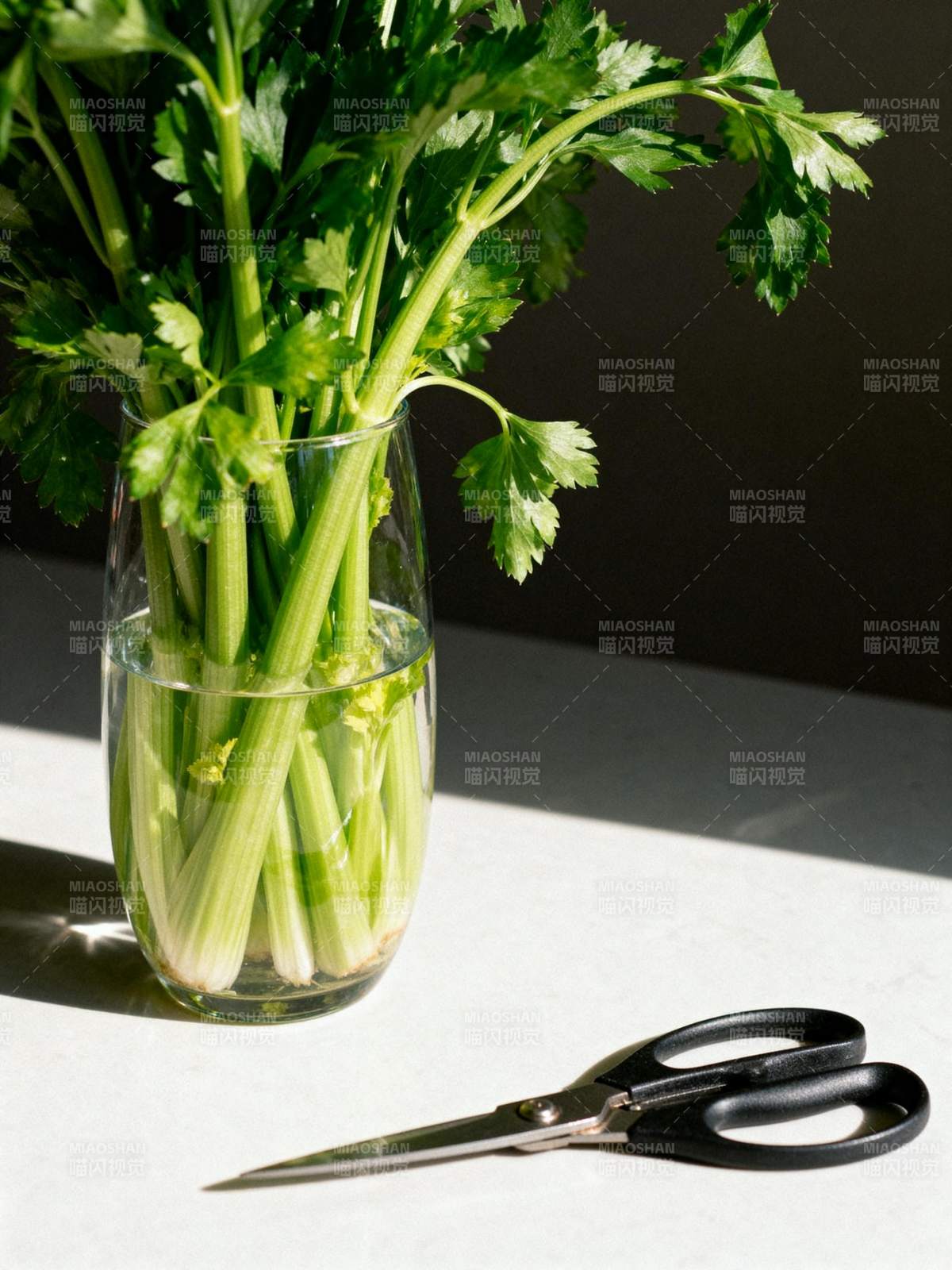 芹菜水培与剪刀图片