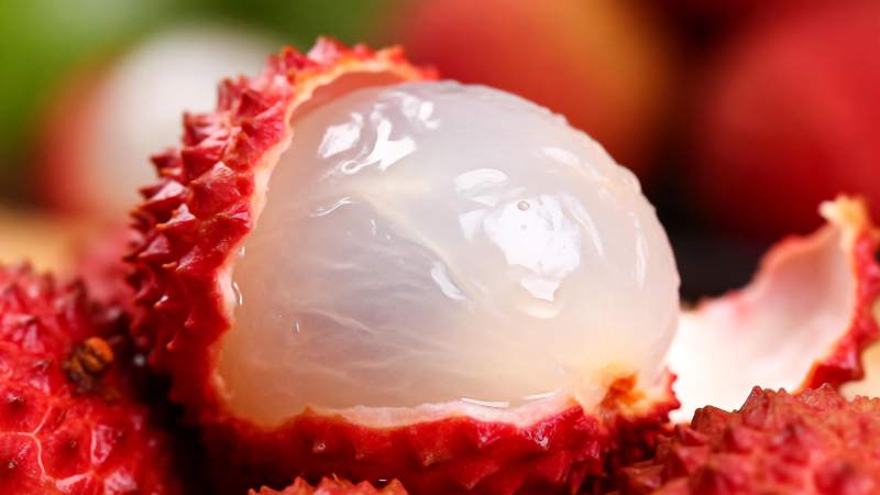 新鲜荔枝特写图片