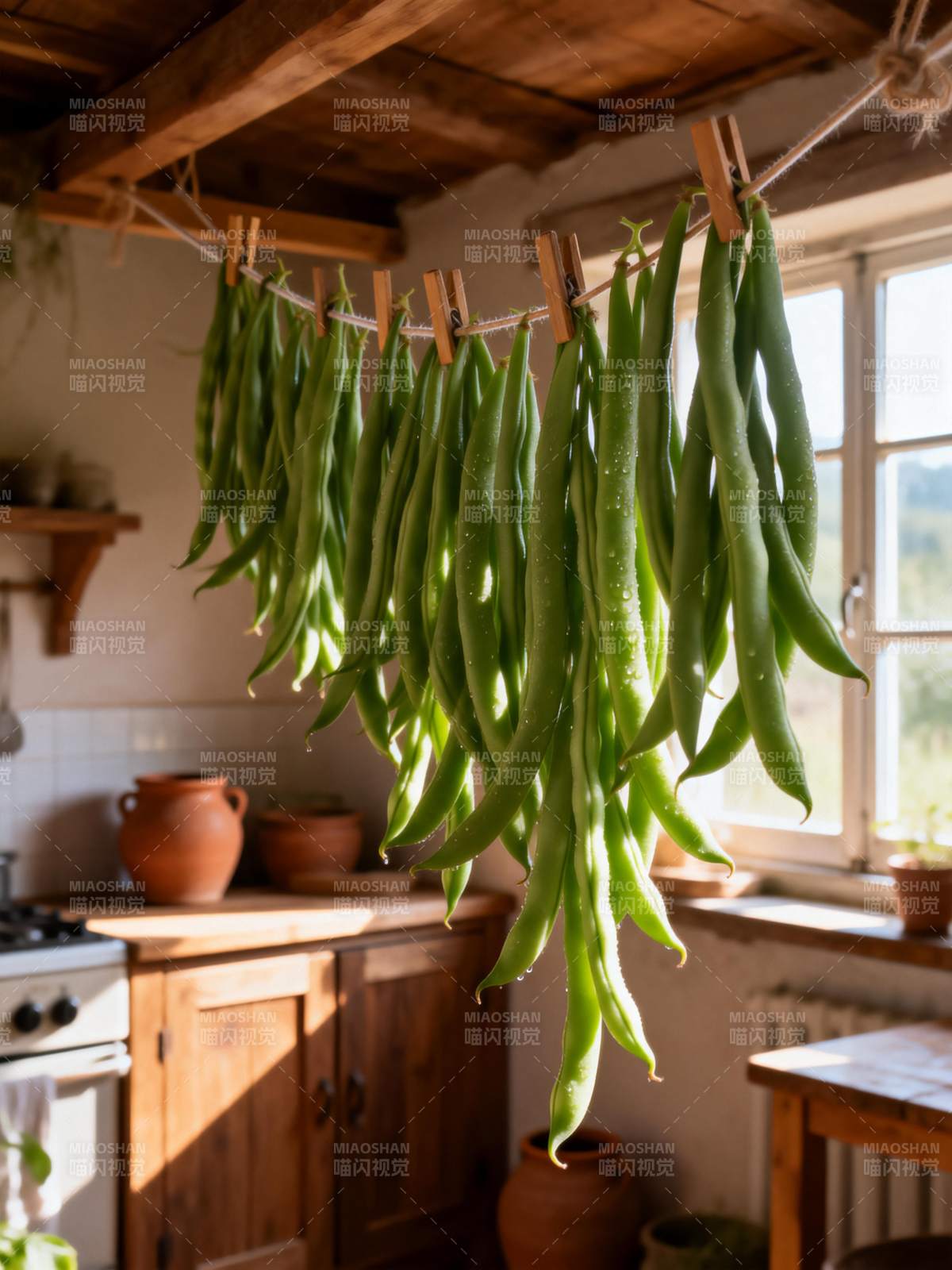 豆角晒太阳图片