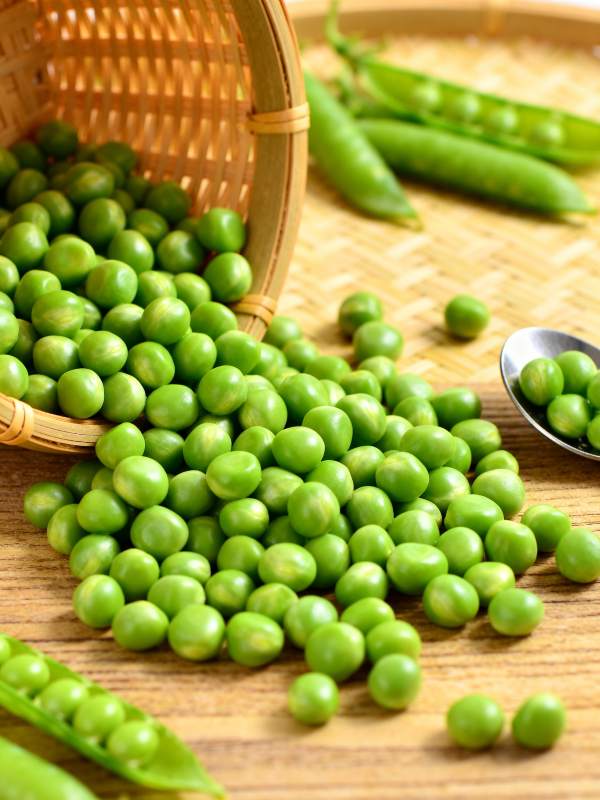 新鲜青豆散落篮边图片